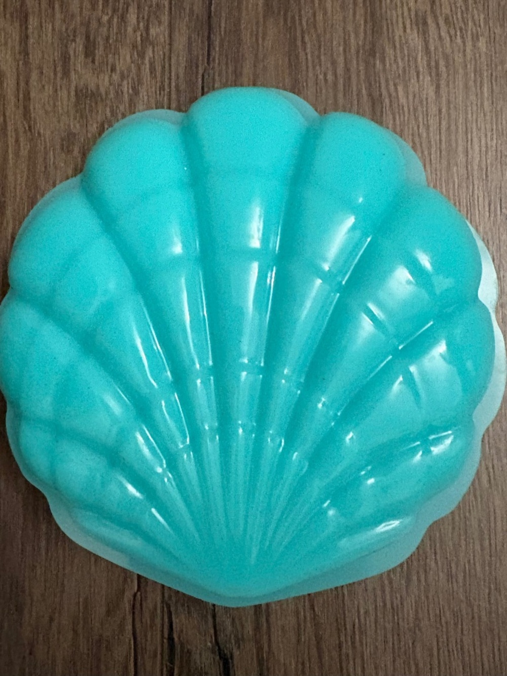 cute handmade seashell trinket jewelry dish